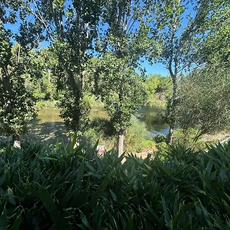 - 1 En Rez De Jardin Dans Le Domaine De La Coudouliere Mae-1033 סיס-פור-לה-פלאז'